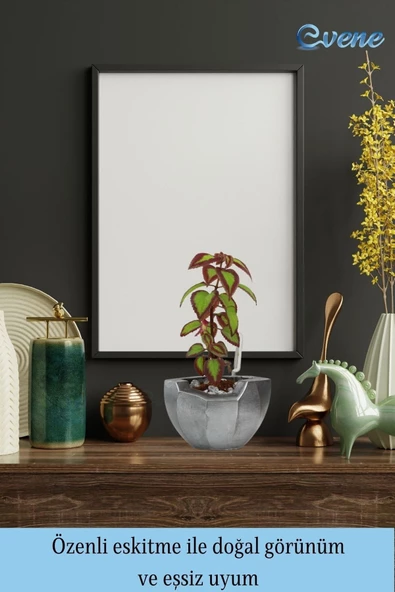 Evene Ahşap Ayaklı Beton Saksı Büyük Boy Set 3 Adet Gümüş Varak Boyalı Eskitmeli Önü Açık Model - Resim 8