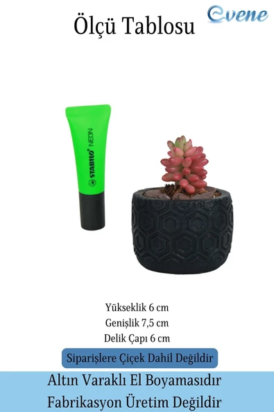 Evene Saksı Dekoratif Saksı Kaktüs Saksısı Sukulent Saksısı Küçük Saksı Model 2 Siyah Saksı - Resim 2
