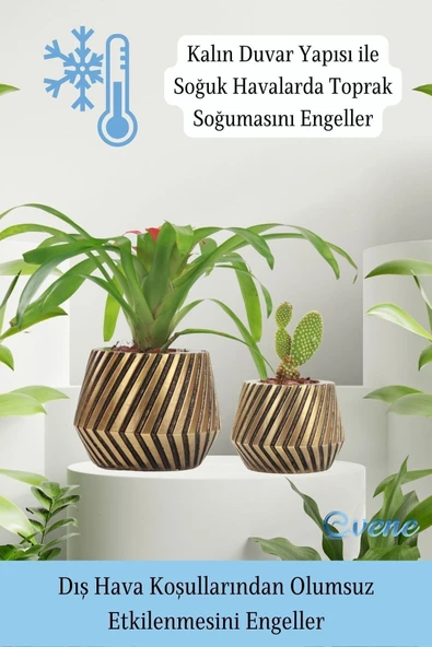 Evene Saksı Çiçek Kaktüs Saksısı Lüx 15 Cm Altın Eskitme Varak Boya Mekanik Dişli Desen Saksı 2li Çiçeklik - Resim 7