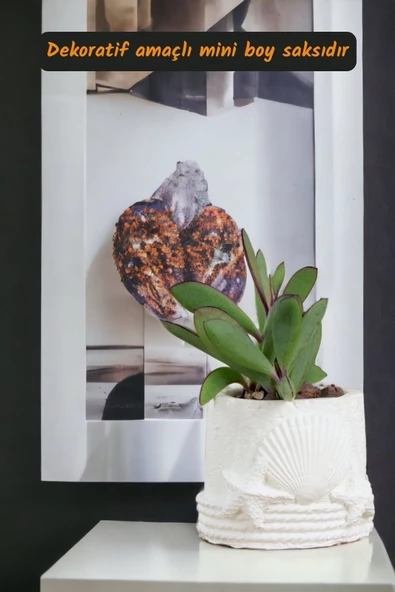 Viselia Kaktüs Saksısı Sukulent El Yapımı Saksı Balkon Çiçek Saksısı Ev Saksısı Saksı Model 5 Beyaz - Resim 2