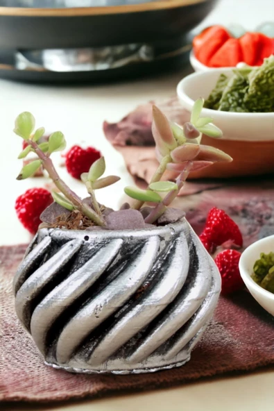 Viselia Kaktüs Saksısı Sukulent El Yapımı Saksı Balkon Çiçek Saksısı Ev Saksısı Saksı Model 4 Gümüş - Resim 6