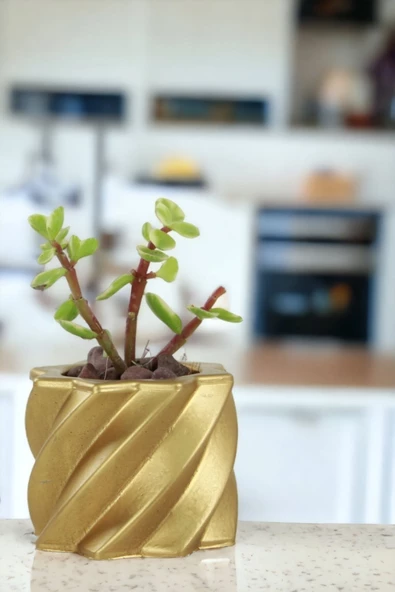 Viselia Kaktüs Saksısı Sukulent El Yapımı Saksı Balkon Çiçek Saksısı Ev Saksısı Saksı Model 9 Altın - Resim 4