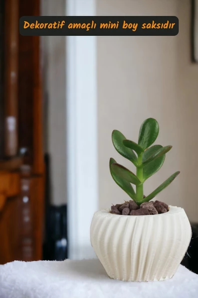 Viselia Kaktüs Saksısı Sukulent El Yapımı Saksı Balkon Çiçek Saksısı Ev Saksısı Saksı Model 13 Beyaz - Resim 2