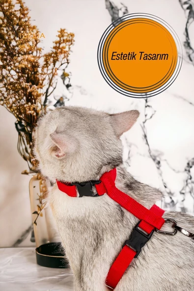Viselia Kedi Tasması Boyun Göğüs Ayarlanabilir Sevk Kayışlı Gezdirme Seti - Resim 2