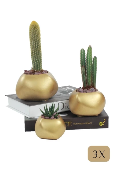 Stein Kohle Çiçek Saksısı Büyük Boy 3 Adet Altın Renk Uygulamalı Spiral Oval Model ürün görseli 1