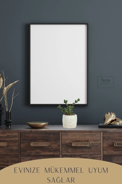 Stein Kohle Dekoratif Saksı Minik Kaktüs Saksısı Beyaz Renk 1 Adet Kaktüs Desenli Model - Resim 5