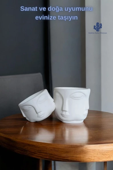 Kaktüs Saksı Dünyası Adler Havelka Saksı 2 Li Saksı Seti Buda Saksı Dekoratif Boyasız Havelka Saksı - Resim 3