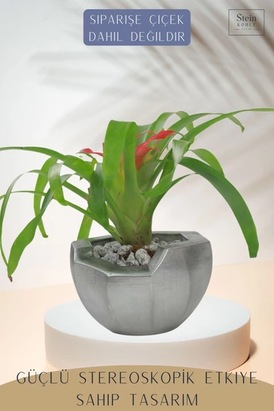 Stein Kohle Çiçek Saksısı Dekoratif Kaktüs Saksı 1 Adet Gümüş Renk Eskitme Uygulamalı Önü Açık Model - Resim 4