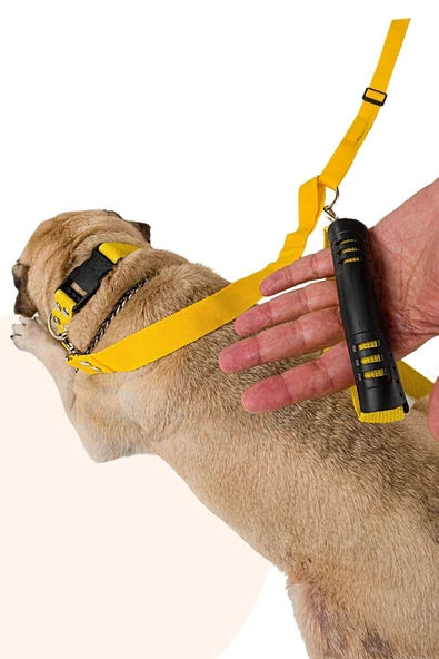 Evene Kedi Gezdirme Tasması Kedi Gezdirme Ipi Çiftli Tasma Model 9 Sarı - 4