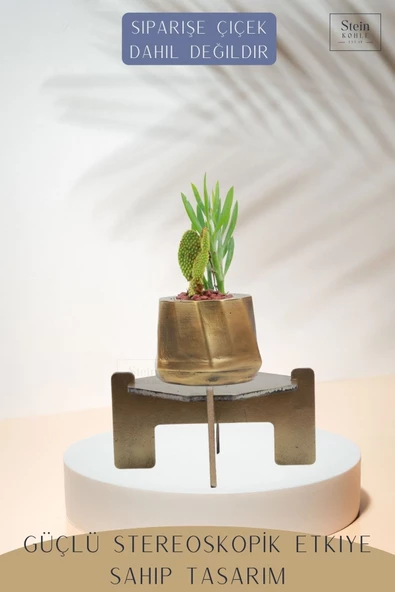 Stein Kohle Ayaklı Saksı Ahşap Büyük Boy 1 Adet Altın Renk Eskitme Uygulamalı Kalın Çizgi Model - Resim 4