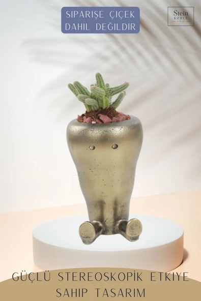 Stein Kohle Çiçek Saksısı Büyük Boy 1 Adet Altın Renk Eskitme Uygulamalı Havuç Model - Resim 4