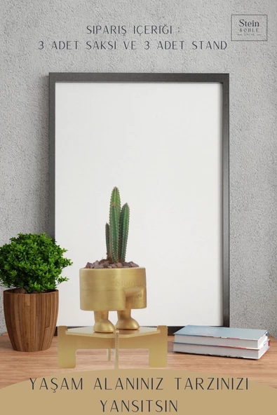 Stein Kohle Ayaklı Saksı Ahşap Büyük Boy 3 Adet Altın Renk Uygulamalı Pantolon Model - 4