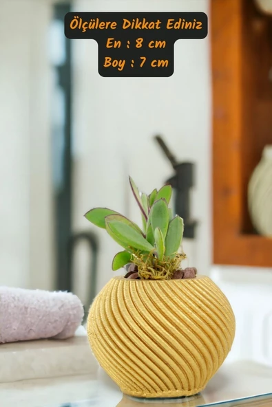 Viselia Kaktüs Saksısı Sukulent El Yapımı Saksı Balkon Çiçek Saksısı Ev Saksısı Saksı Model 1 Altın - Resim 3