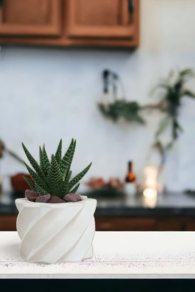 Viselia Kaktüs Saksısı Sukulent El Yapımı Saksı Balkon Çiçek Saksısı Ev Saksısı Saksı Model 9 Beyaz - Resim 4