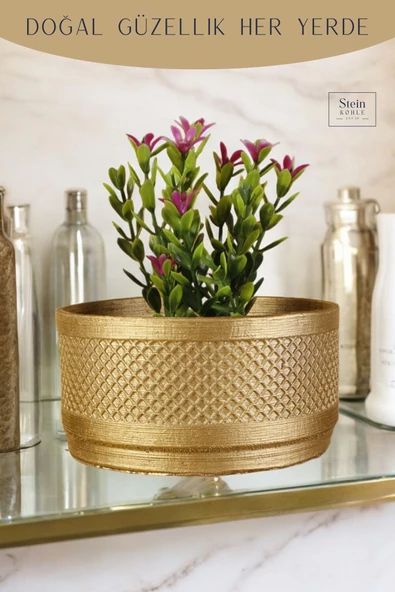 Stein Kohle Dekoratif Saksı Minik Kaktüs Saksısı Altın Renk Model 22 - Resim 5