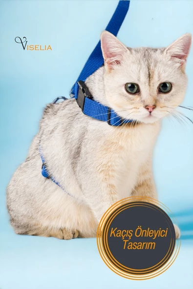 Viselia Kedi Tasması Boyun Göğüs Ayarlanabilir Sevk Kayışlı Gezdirme Seti - 5