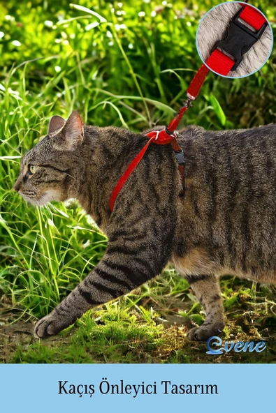 Evene Kedi Tasması Kedi Göğüs Bel Ayarlanabilir Dayanıklı Sağlam Tasma 1 cm İnce Kolon Kırmızı - 2