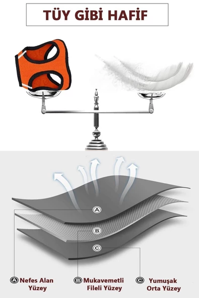 Evene Kedi Tasması Kayışlı Gezdirme Boyun Göğüs Tasması Reflektörlü Fileli Dayanıklı M Beden Kırmızı Renk - Resim 7