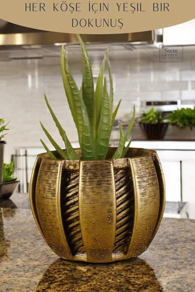 Stein Kohle Dekoratif Saksı Minik Kaktüs Saksısı Altın Eskitme Renk Model 41 - Resim 4