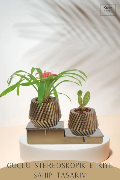 Stein Kohle Ayaklı Saksı Ahşap Büyük Boy 2 Adet Altın Renk Eskitme Uygulamalı Dişli Model - Resim 4