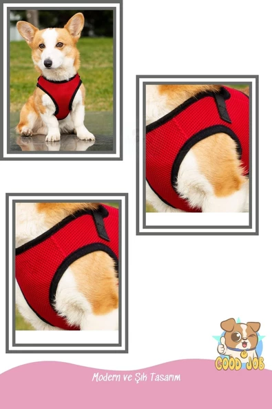 Pandogo Kedi Köpek Tasması Reflektörlü Fileli Hava Alan Kumaş Sevk Kayışlı Kedi Gezdirme Tasması Kırmızı M - Resim 5