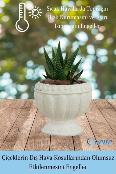 Evene Mini Çiçek Saksı Küçük Sukulent Beyaz Kaktüs Saksısı Antika Model - 4