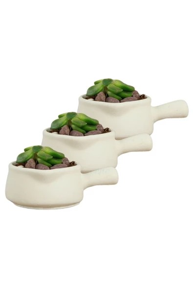 Evene Mini Çiçek Saksı Küçük Sukulent Beyaz Kaktüs Saksısı 3'lü Set Mini Tava Model ürün görseli 1