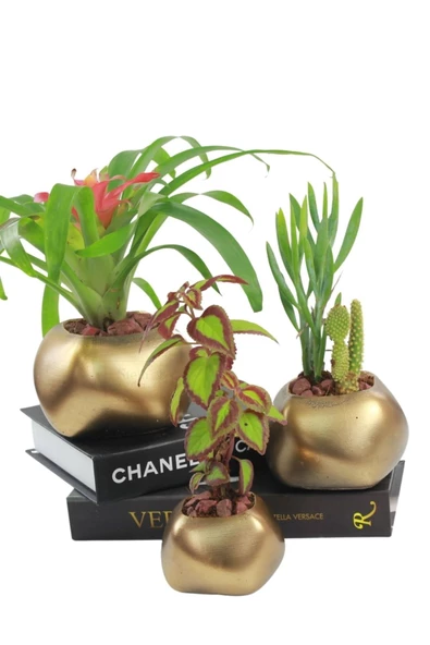 Stein Kohle Çiçek Saksısı Büyük Boy 3 Adet Altın Renk Eskitme Uygulamalı Spiral Oval Model ürün görseli 1