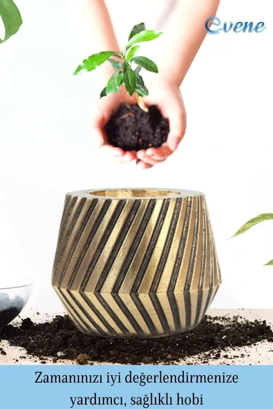 Evene Saksı Çiçek Kaktüs Saksısı Lüx 15 Cm Altın Eskitme Varak Boya Mekanik Dişli Desen Saksı 2li Çiçeklik - Resim 4