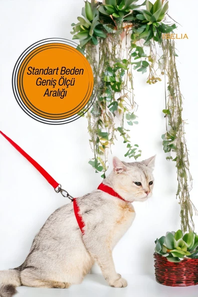 Viselia Kedi Tasması Boyun Göğüs Ayarlanabilir Sevk Kayışlı Gezdirme Seti - Resim 6