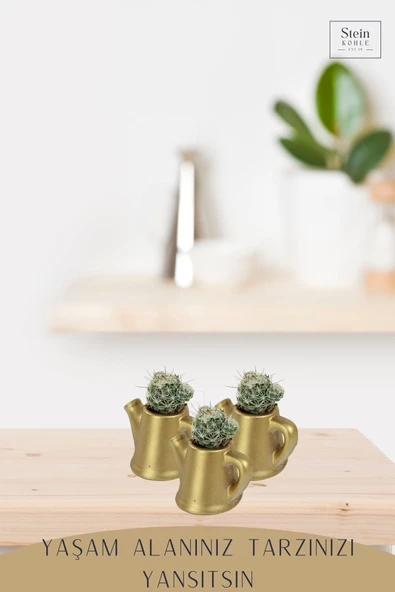 Stein Kohle Dekoratif Saksı Minik Kaktüs Saksısı Altın Renk 3 Adet Saksı Seti Mini Çaydanlık Model - Resim 3