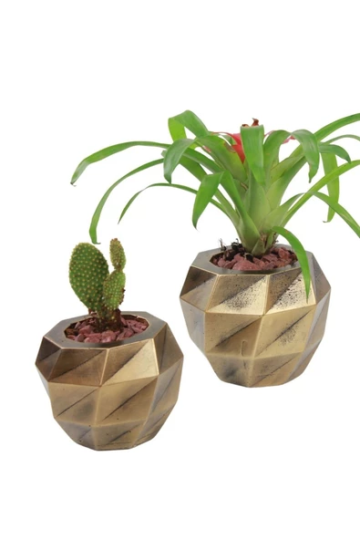 Evene Saksı Çiçek Kaktüs Saksısı Lüx 15 Cm Altın Eskitme Varak Boyalı Burgulu Desen Saksı 2li Set Çiçeklik ürün görseli 1
