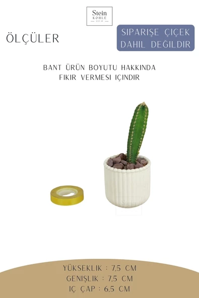 Stein Kohle Dekoratif Saksı Minik Kaktüs Saksısı Beyaz Renk 1 Adet Vintage Düz Çizgili Model - 2