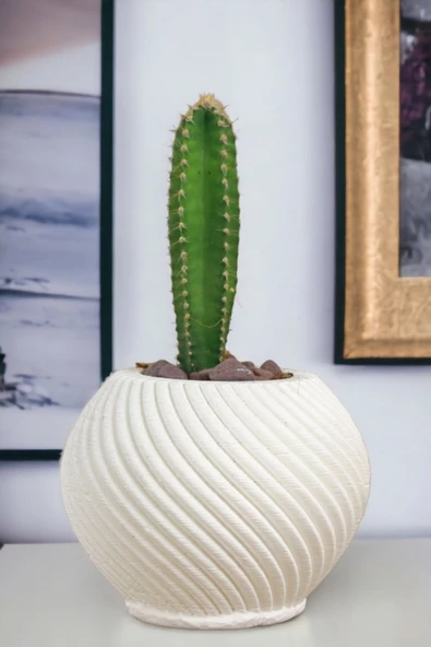 Viselia Kaktüs Saksısı Sukulent El Yapımı Saksı Balkon Çiçek Saksısı Ev Saksısı Saksı Model 1 Beyaz ürün görseli 1