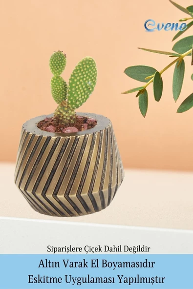 Evene Saksı Çiçek Kaktüs Saksısı Lüx 15 Cm Altın Eskitme Varak Boya Mekanik Dişli Desen Saksı 2li Çiçeklik - Resim 5