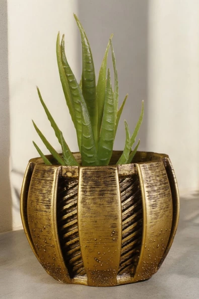 Stein Kohle Dekoratif Saksı Minik Kaktüs Saksısı Altın Eskitme Renk Model 41 ürün görseli 1