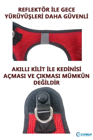 Evene Kedi Kayışlı Gezdirme Boyun Göğüs Reflektörlü Deri Yumuşak Fileli Dayanıklı L Beden Turuncu Renk - Resim 8