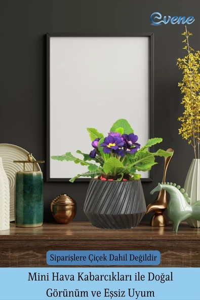 Evene Saksı Büyük Saksı Çiçek Saksısı Büyük Boy Saksı Salon Saksısı Model 6 Siyah Saksı - Resim 6