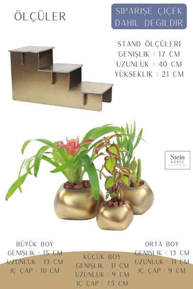 Stein Kohle Ayaklı Saksı Ahşap Büyük Boy 3 Adet Altın Renk Eskitme Uygulamalı Spiral Oval Model - Resim 2