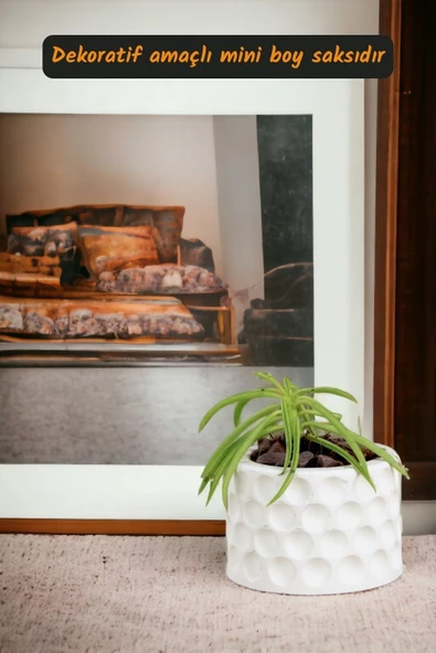 Viselia Kaktüs Saksısı Sukulent El Yapımı Saksı Balkon Çiçek Saksısı Ev Saksısı Saksı Model 12 Beyaz - Resim 2