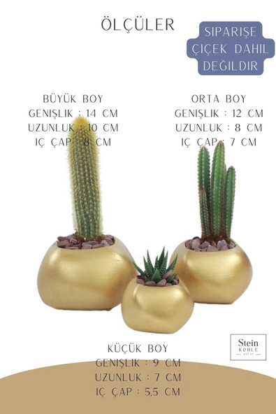 Stein Kohle Çiçek Saksısı Büyük Boy 3 Adet Altın Renk Uygulamalı Spiral Oval Model - Resim 2