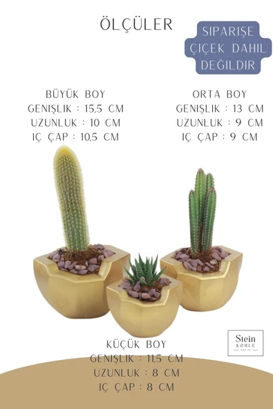 Stein Kohle Çiçek Saksısı Büyük Boy 3 Adet Altın Renk Uygulamalı Önü Açık Model - Resim 2