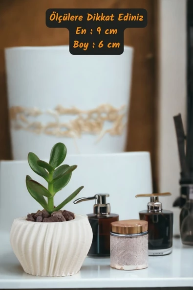 Viselia Kaktüs Saksısı Sukulent El Yapımı Saksı Balkon Çiçek Saksısı Ev Saksısı Saksı Model 13 Beyaz - Resim 3
