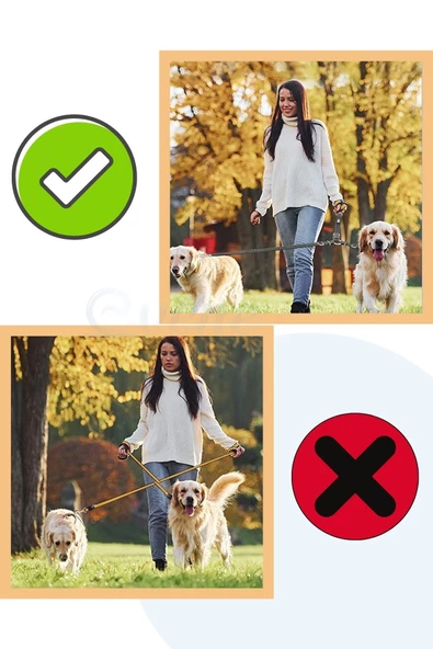 Evene Kedi Gezdirme Tasması Kedi Gezdirme Ipi Çiftli Tasma Model 9 Mavi - Resim 6