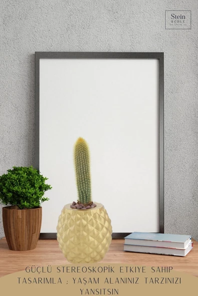 Stein Kohle Çiçek Saksısı Büyük Boy 2 Adet Altın Renk Uygulamalı Ananas Model - Resim 4