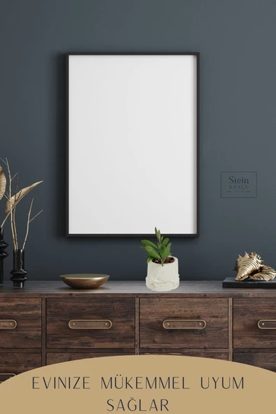 Stein Kohle Dekoratif Saksı Minik Kaktüs Saksısı Beyaz Renk 1 Adet Deniz Ürünlü Model - Resim 5