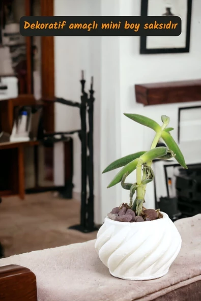 Viselia Kaktüs Saksısı Sukulent El Yapımı Saksı Balkon Çiçek Saksısı Ev Saksısı Saksı Model 4 Beyaz - Resim 2