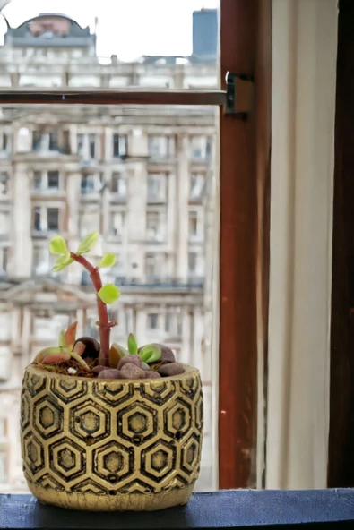 Viselia Kaktüs Saksısı Sukulent El Yapımı Saksı Balkon Çiçek Saksısı Ev Saksısı Saksı Model 2 Altın - Resim 4