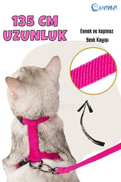 Evene Kedi Tasması Kedi Gögüs Bel Ayarlanabilir Tasma Pembe - Resim 4