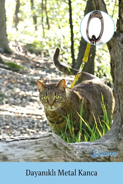 Evene Kedi Tasması Kedi Göğüs Bel Ayarlanabilir Dayanıklı Sağlam Tasma 1 cm İnce Kolon Sarı - Resim 3